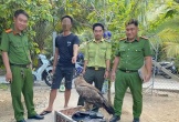 Nuôi nhốt trái phép đại bàng và diều hâu, một người bị xử phạt