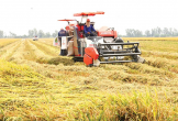 Công bố 01 thủ tục hành chính trong lĩnh vực trồng trọt và bảo vệ thực vật thuộc chức năng quản lý của Sở Nông nghiệp và Môi trường