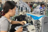 Hướng đi mới của lao động nông thôn Nghệ An: 