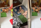 Thêm vụ bảo mẫu bị tố đánh trẻ