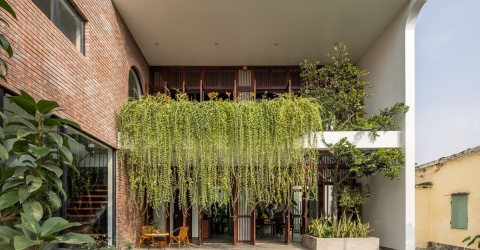 Ngôi nhà dùng “rèm cây” chắn nắng độc đáo ở Thái Bình