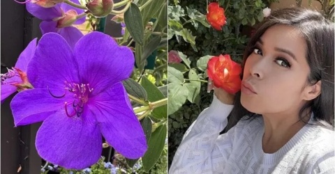 Vườn hoa đẹp ngẩn ngơ trong biệt thự 1.600 tỷ của Bích Tuyền