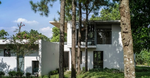 Biệt thự ẩn mình giữa rừng thông đẹp mê mẩn ở Hà Nội