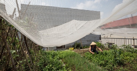 Xây trên đất méo, nhà Hà Nội vẫn đẹp “không góc chết”