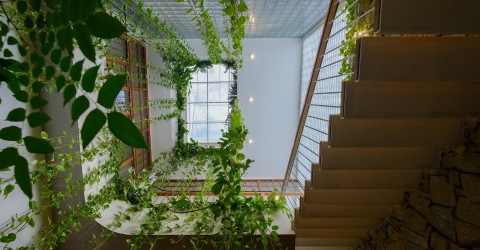 Ngắm nhà ven sông mộc mạc, phủ kín sắc xanh ở Nha Trang