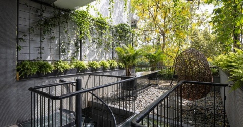 Ngỡ ngàng nhà phố như “lâu đài xanh” giữa lòng Hà Nội