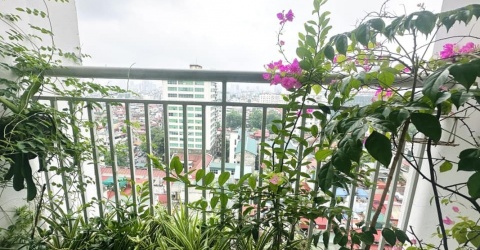 Ngắm khu vườn lộc non xanh mơn mởn của MC VTV Hoàng Trang