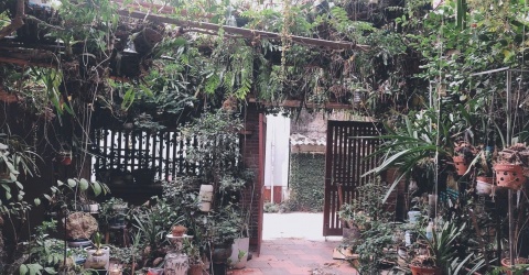 Độc đáo ngôi nhà “chống biến đổi khí hậu” giữa lòng thành Vinh