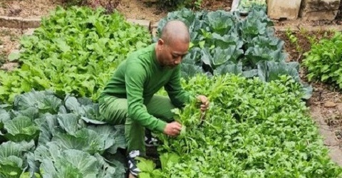 Cận cảnh ngôi nhà giản dị ở quê của đạo diễn Bình Trọng