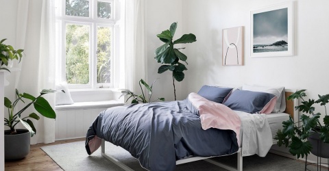 Bí quyết “xanh hóa” không gian sống