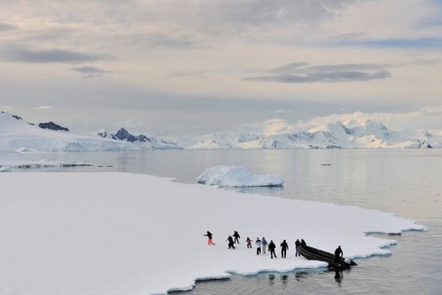 Trong hải trình tiếp theo, M/Y Legend sẽ đi về phía bắc để ngắm gấu bắc cực ở Spitsbergen, Na Uy và neo tại Greenland cho du khách trượt tuyết trên núi, nơi họ được trực thăng thả xuống. 