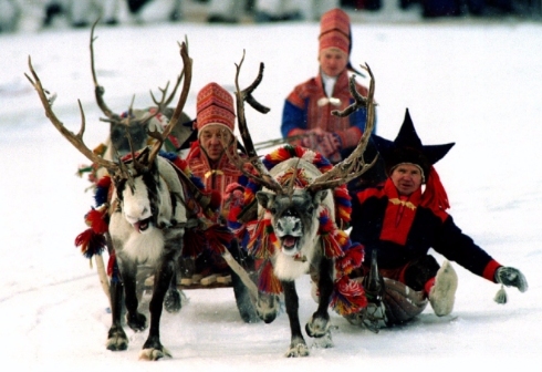 4sami reindeer 660x0